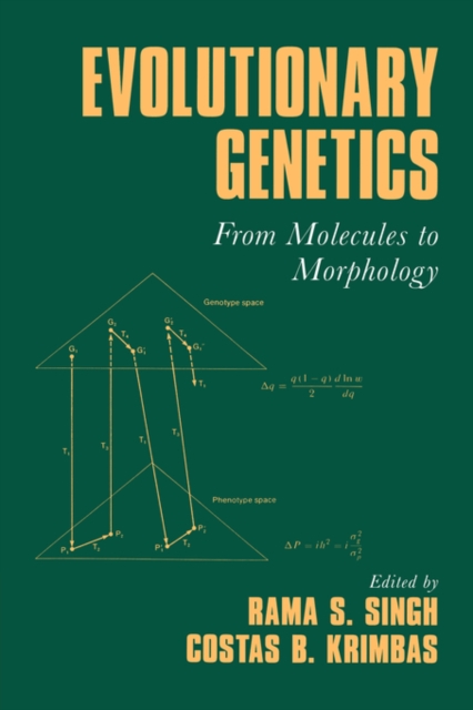Evolutionary Genetics : From Molecules to Morphology, Hardback Book