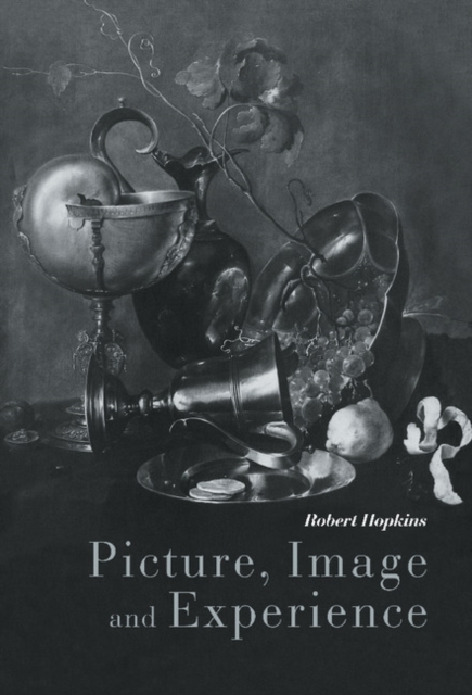 Picture, Image and Experience : A Philosophical Inquiry, Hardback Book