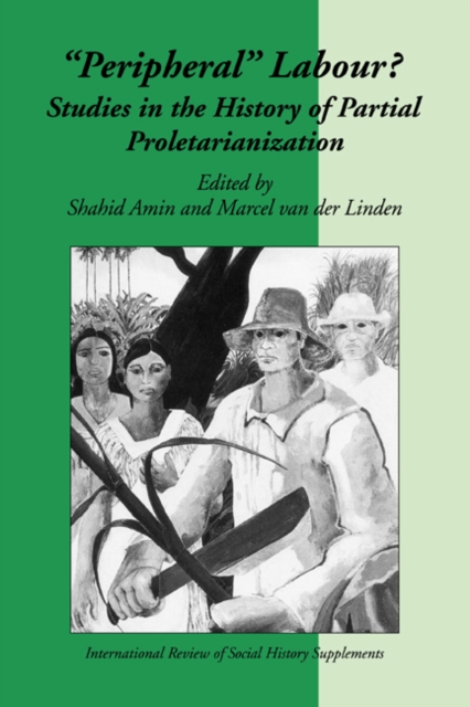 Peripheral Labour : Studies in the History of Partial Proletarianization, Paperback / softback Book