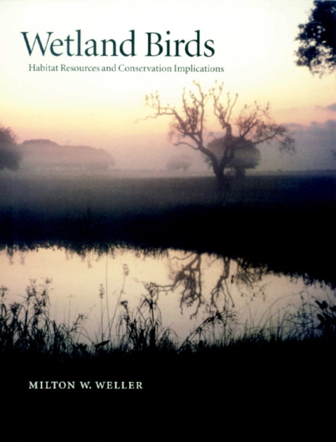 Wetland Birds : Habitat Resources and Conservation Implications, Paperback / softback Book