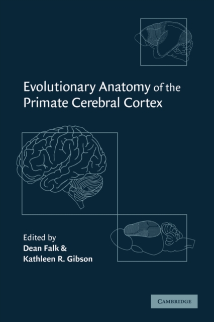 Evolutionary Anatomy of the Primate Cerebral Cortex, Hardback Book