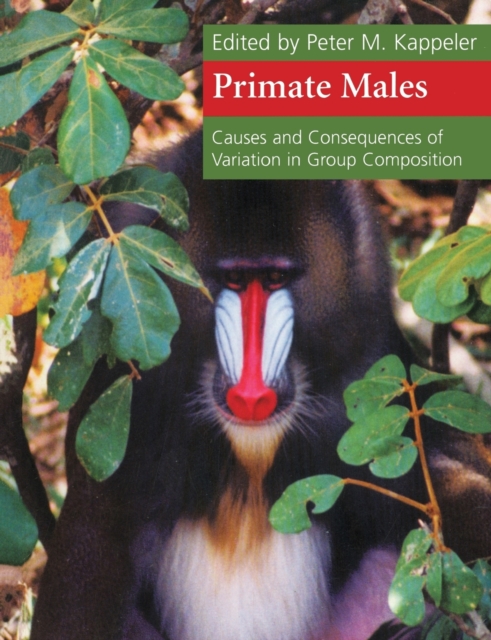 Primate Males : Causes and Consequences of Variation in Group Composition, Paperback / softback Book