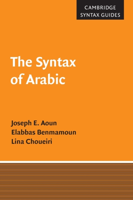 The Syntax of Arabic, Paperback / softback Book