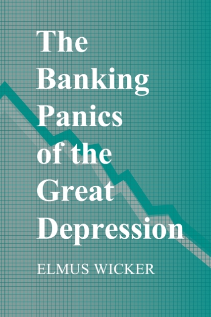 The Banking Panics of the Great Depression, Paperback / softback Book