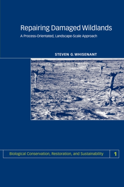 Repairing Damaged Wildlands : A Process-Orientated, Landscape-Scale Approach, Paperback / softback Book