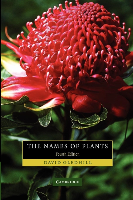 The Names of Plants, Paperback / softback Book