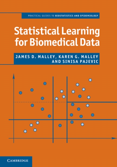 Statistical Learning for Biomedical Data, Paperback / softback Book