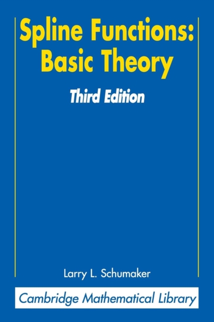 Spline Functions: Basic Theory, Paperback / softback Book