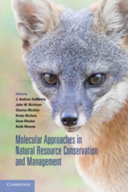 Molecular Approaches in Natural Resource Conservation and Management, Paperback / softback Book