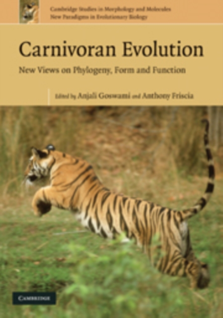 Carnivoran Evolution : New Views on Phylogeny, Form and Function, Paperback / softback Book