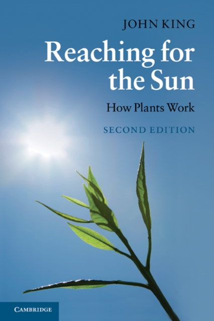 Reaching for the Sun : How Plants Work, Paperback / softback Book