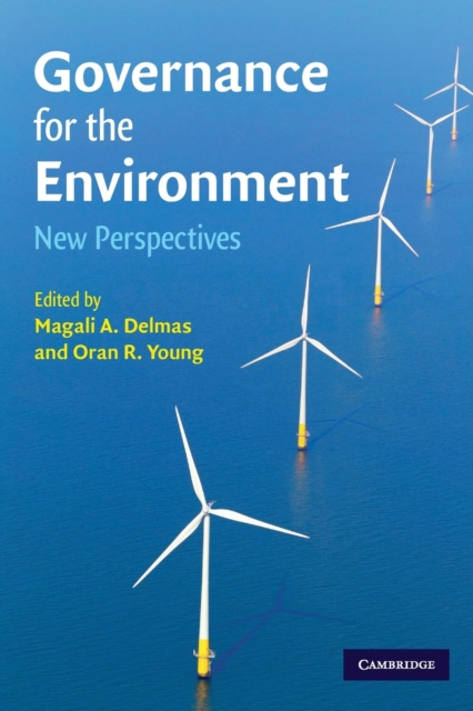 Governance for the Environment : New Perspectives, Paperback / softback Book