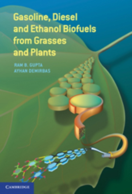 Gasoline, Diesel, and Ethanol Biofuels from Grasses and Plants, Hardback Book