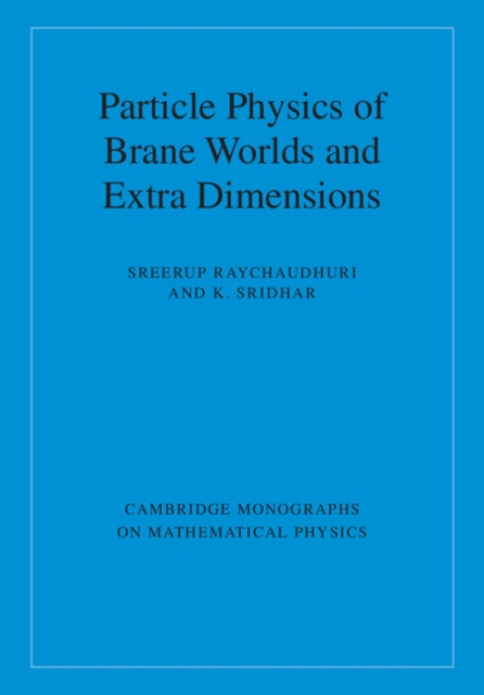 Particle Physics of Brane Worlds and Extra Dimensions, Hardback Book