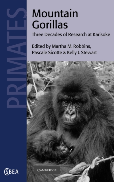 Mountain Gorillas : Three Decades of Research at Karisoke, Hardback Book