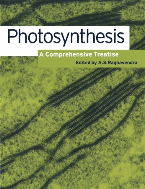 Photosynthesis : A Comprehensive Treatise, Paperback / softback Book
