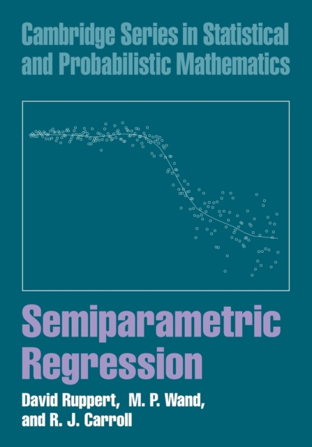 Semiparametric Regression, Paperback / softback Book