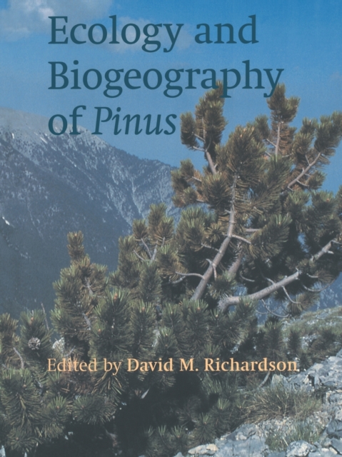 Ecology and Biogeography of Pinus, Paperback / softback Book