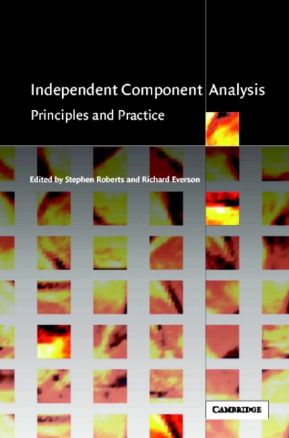 Independent Component Analysis : Principles and Practice, Hardback Book