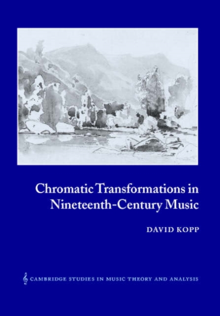 Chromatic Transformations in Nineteenth-Century Music, Hardback Book