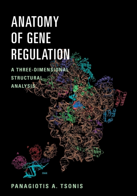 Anatomy of Gene Regulation : A Three-Dimensional Structural Analysis, Paperback / softback Book