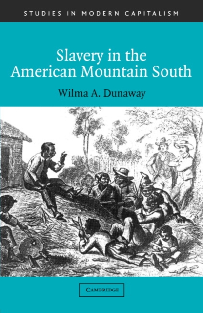 Slavery in the American Mountain South, Hardback Book