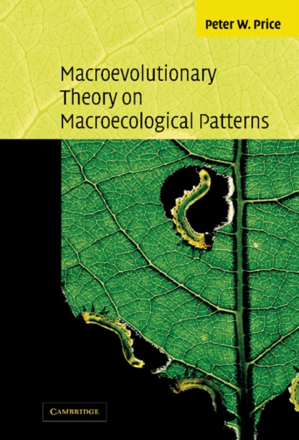 Macroevolutionary Theory on Macroecological Patterns, Hardback Book