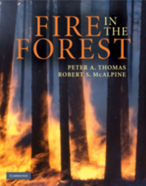 Fire in the Forest, Hardback Book