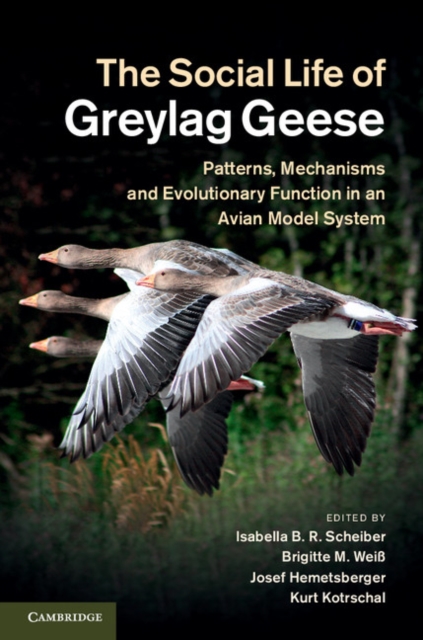 The Social Life of Greylag Geese : Patterns, Mechanisms and Evolutionary Function in an Avian Model System, Hardback Book