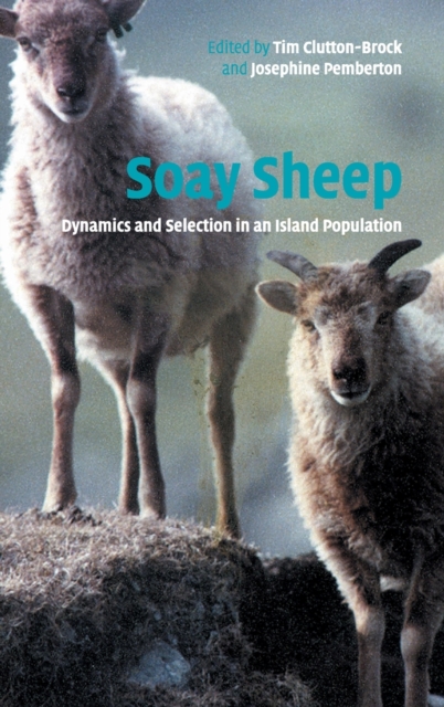 Soay Sheep : Dynamics and Selection in an Island Population, Hardback Book