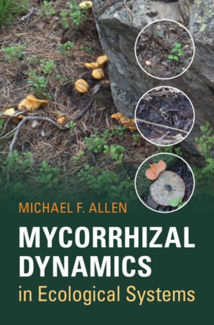 Mycorrhizal Dynamics in Ecological Systems, Hardback Book