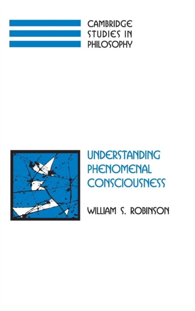 Understanding Phenomenal Consciousness, Hardback Book