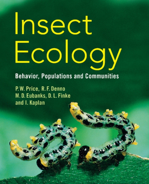 Insect Ecology : Behavior, Populations and Communities, Hardback Book