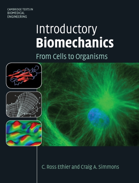 Introductory Biomechanics : From Cells to Organisms, Hardback Book