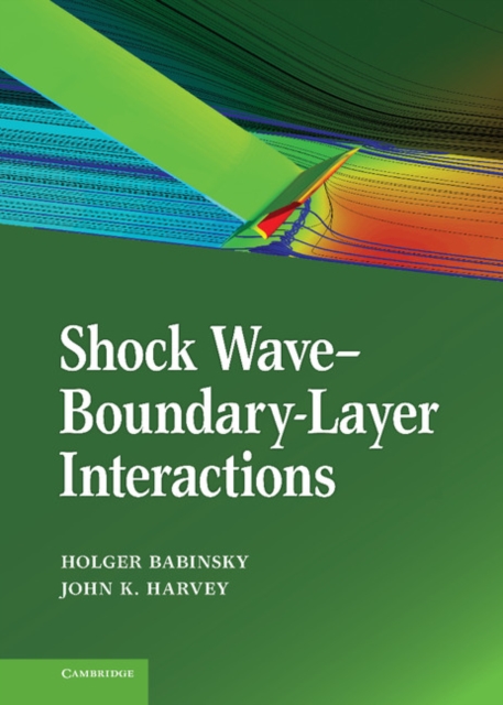 Shock Wave-Boundary-Layer Interactions, Hardback Book