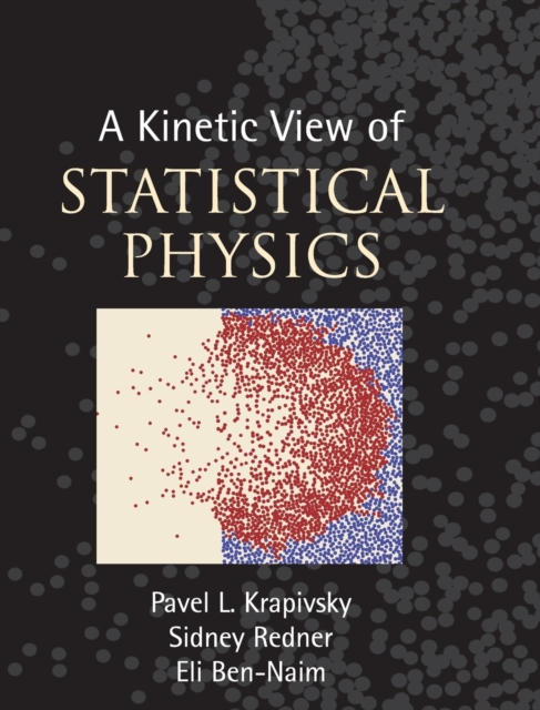 A Kinetic View of Statistical Physics, Hardback Book