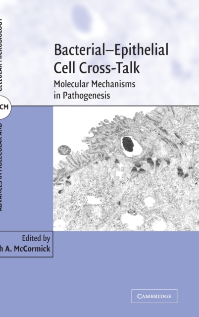 Bacterial-Epithelial Cell Cross-Talk : Molecular Mechanisms in Pathogenesis, Hardback Book