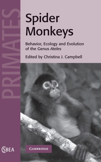 Spider Monkeys : Behavior, Ecology and Evolution of the Genus Ateles, Hardback Book