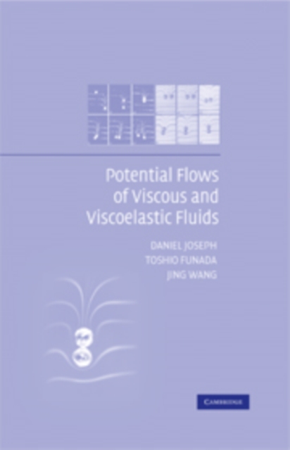 Potential Flows of Viscous and Viscoelastic Liquids, Hardback Book