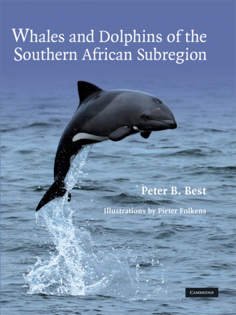 Whales and Dolphins of the Southern African Subregion, Hardback Book