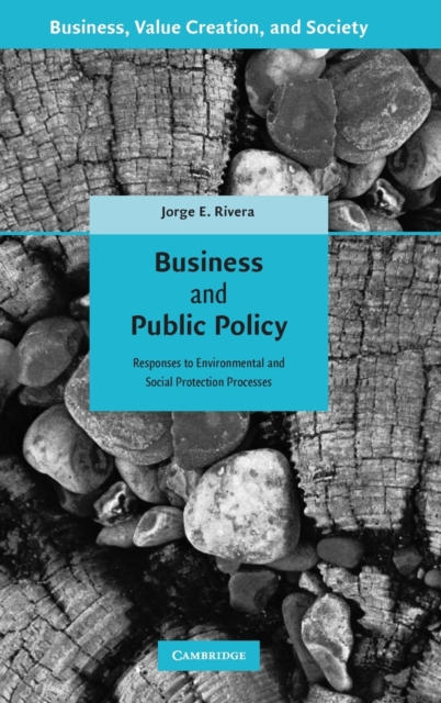 Business and Public Policy : Responses to Environmental and Social Protection Processes, Hardback Book