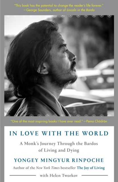 In Love with the World, EPUB eBook