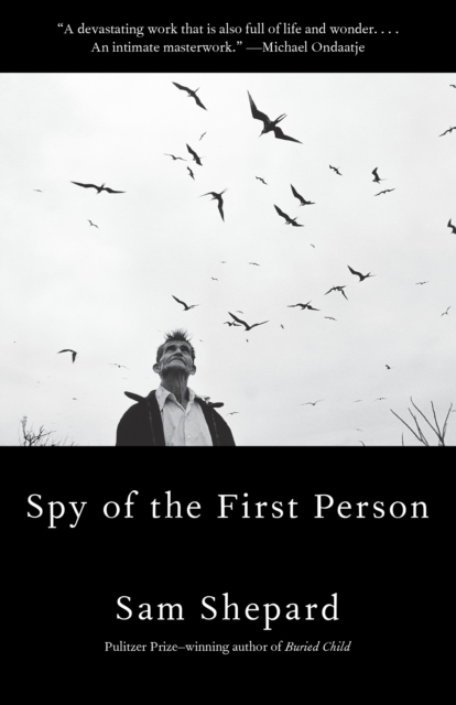 Spy of the First Person, EPUB eBook
