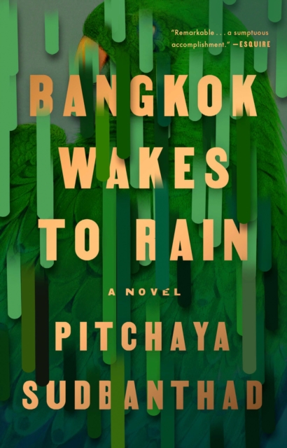 Bangkok Wakes to Rain, EPUB eBook