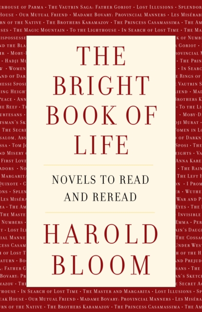 The Bright Book of Life : Novels to Read and Reread, Hardback Book