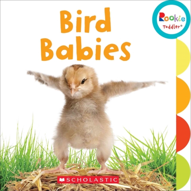 Bird Babies (Rookie Toddler), Board book Book