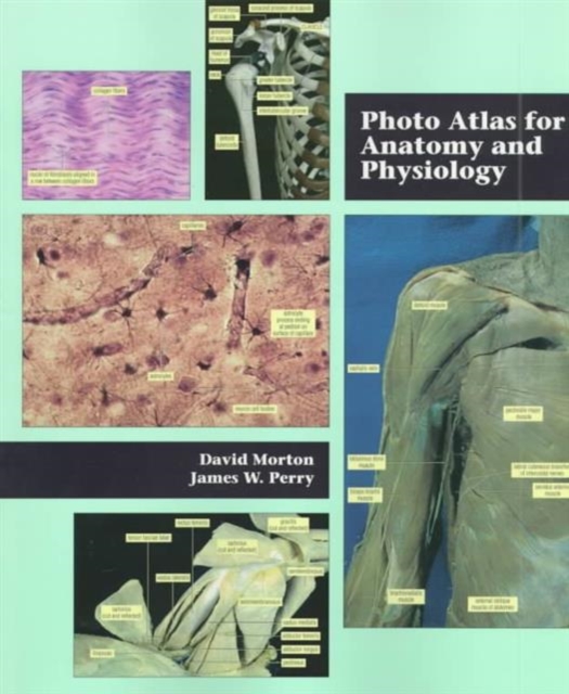 Photo Atlas for Anatomy and Physiology, Paperback / softback Book