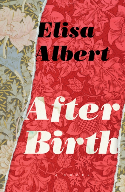 After Birth : A Novel, EPUB eBook