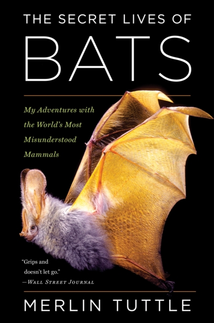 The Secret Lives of Bats : My Adventures with the World's Most Misunderstood Mammals, EPUB eBook