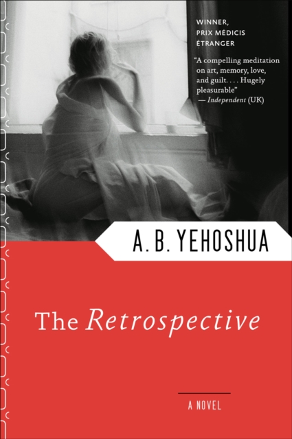 The Retrospective : A Novel, EPUB eBook